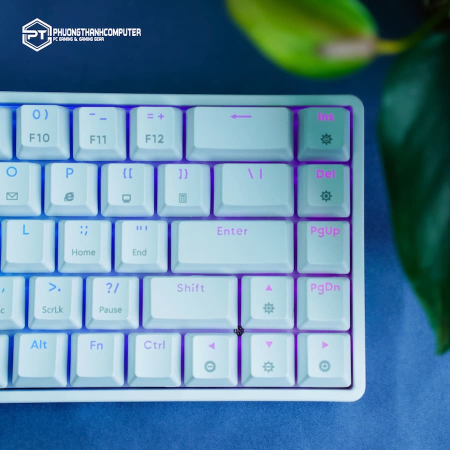 Đèn nền RGB ấn tượng